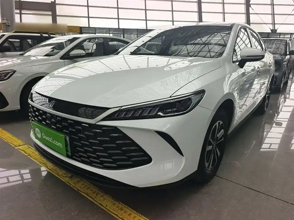 BYD Qin PLUS — фото 1