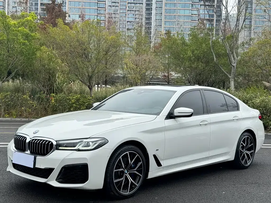 BMW 5 Series (Import) — фото 1