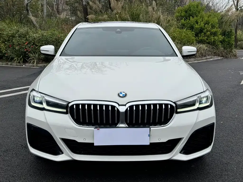 BMW 5 Series (Import) — фото 8