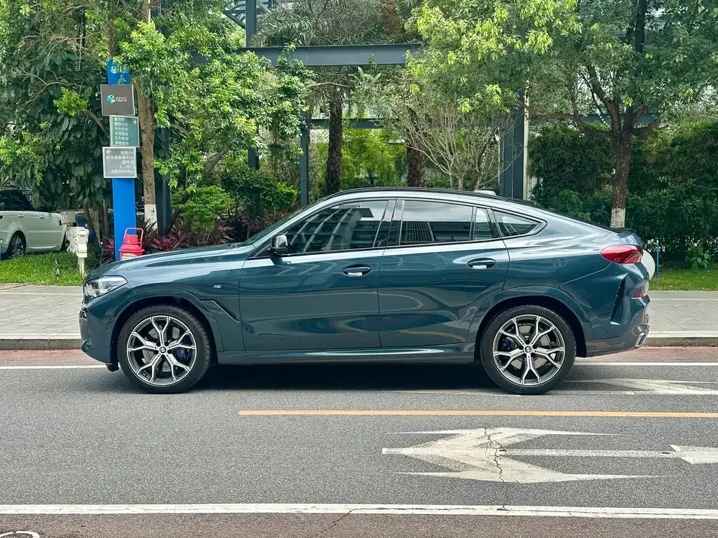 BMW X6 — фото 10