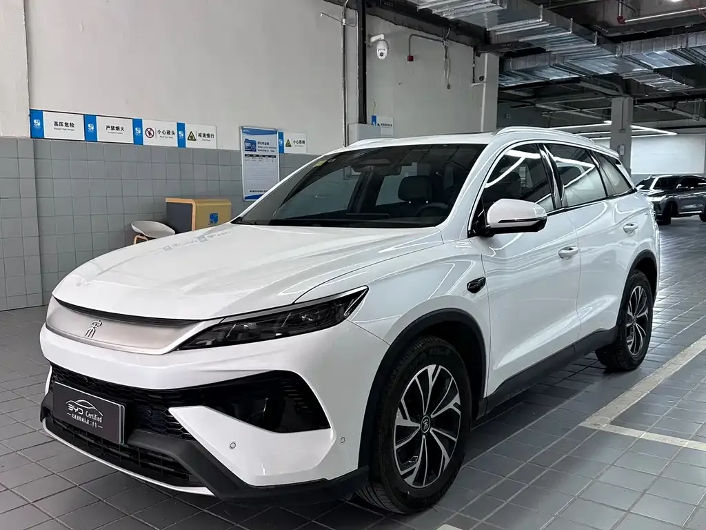 BYD Pro New Energy — фото 1