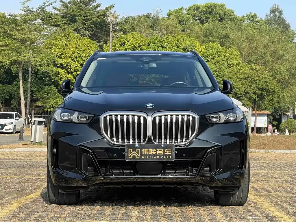 BMW X5 — фото 9