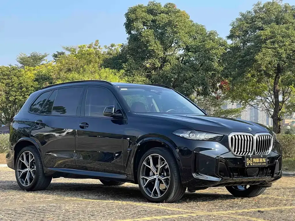 BMW X5 — фото 7