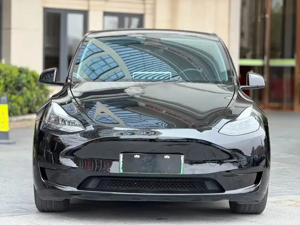 Tesla Model Y — фото 8