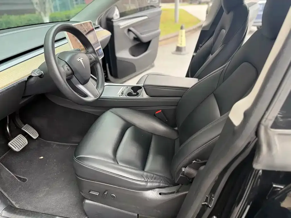 Tesla Model Y — фото 10