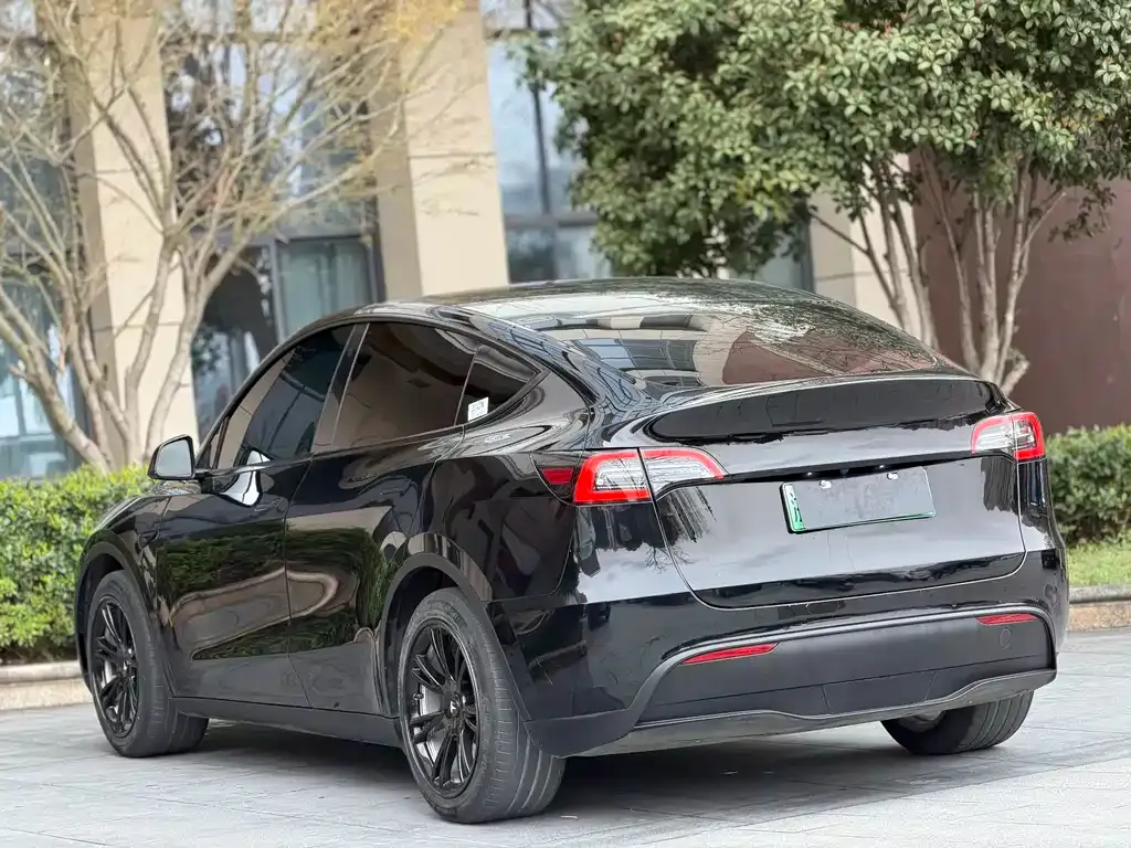 Tesla Model Y — фото 4