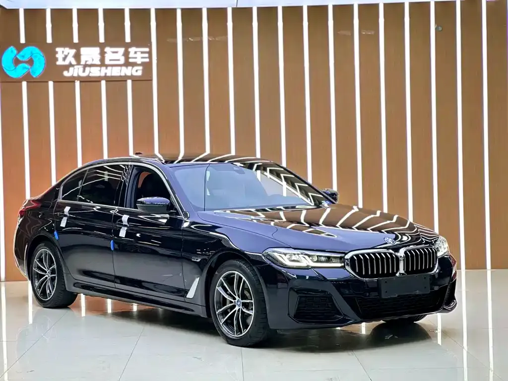 BMW 5 Series New Energy — фото 6