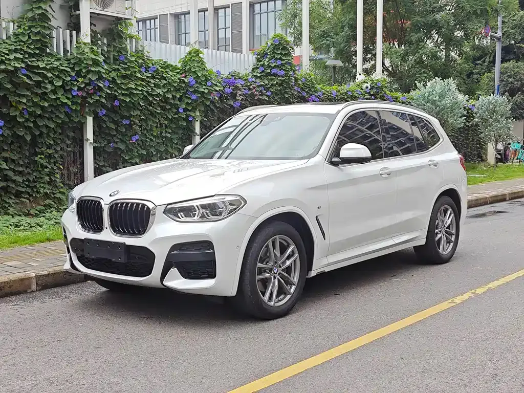BMW X3 — фото 1