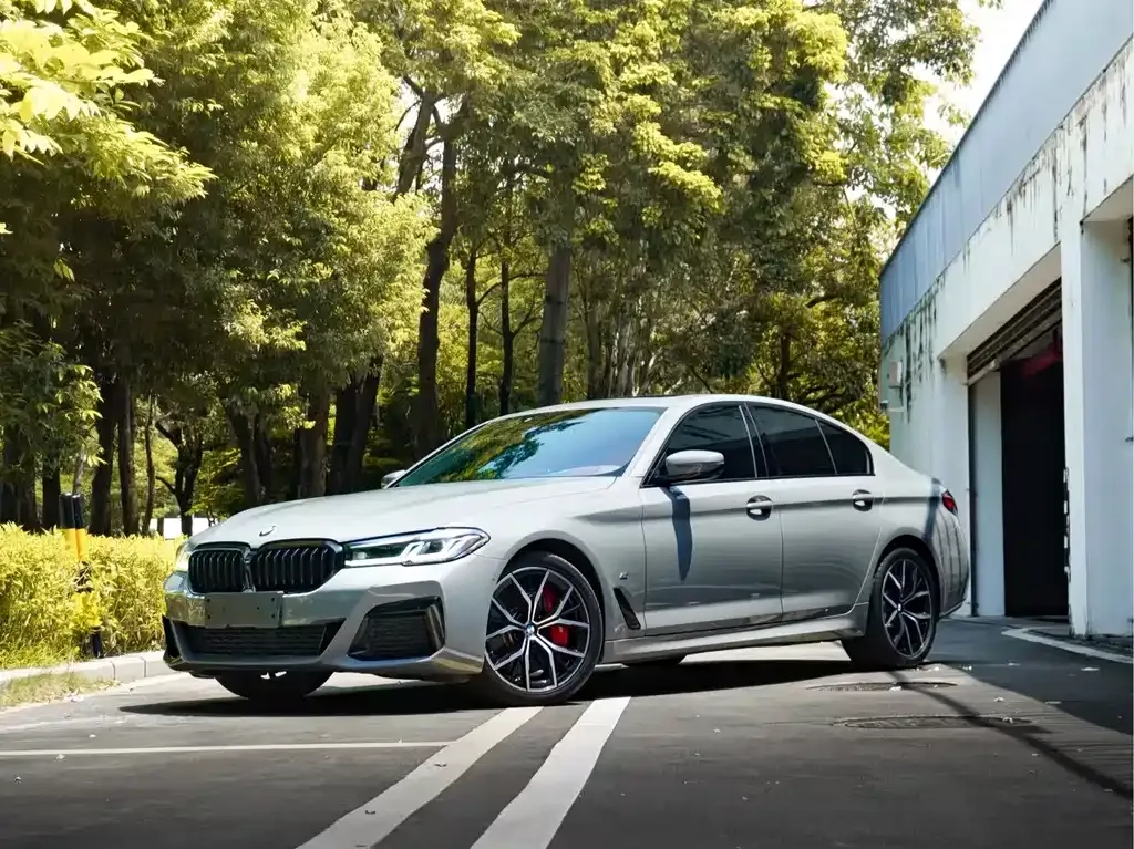 BMW 5 Series (Import) — фото 1