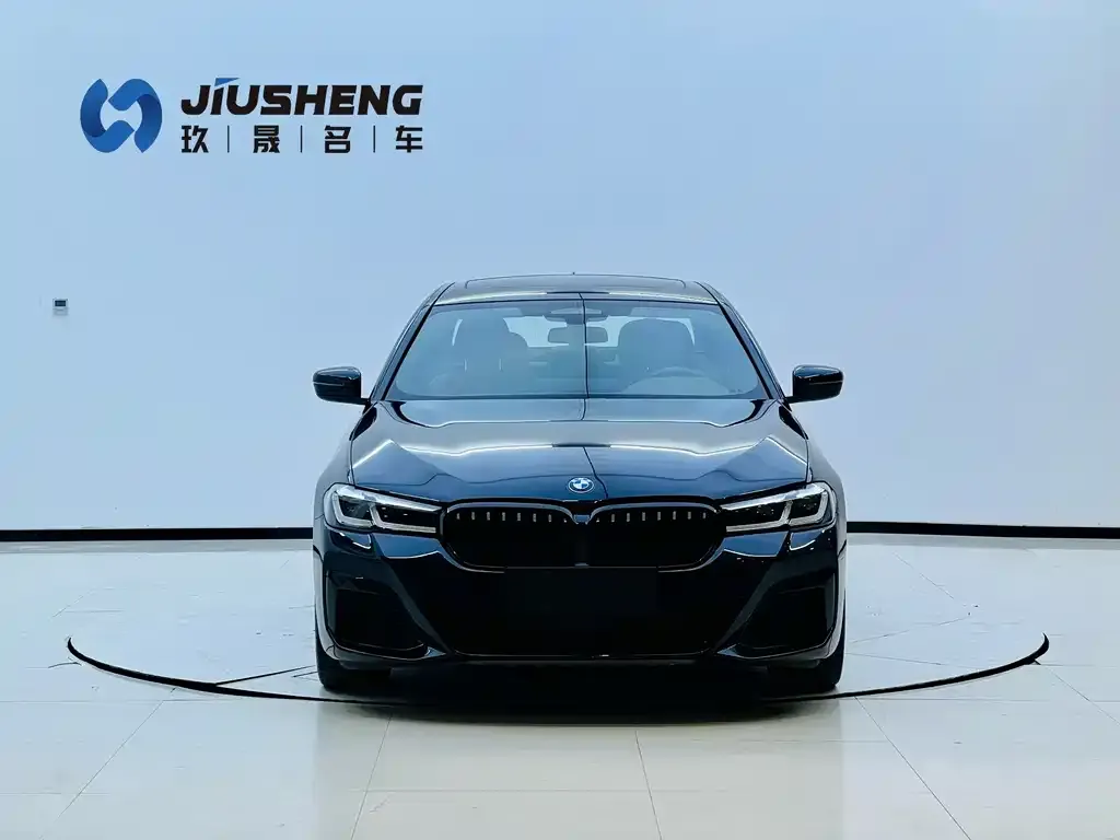 BMW 5 Series New Energy — фото 3