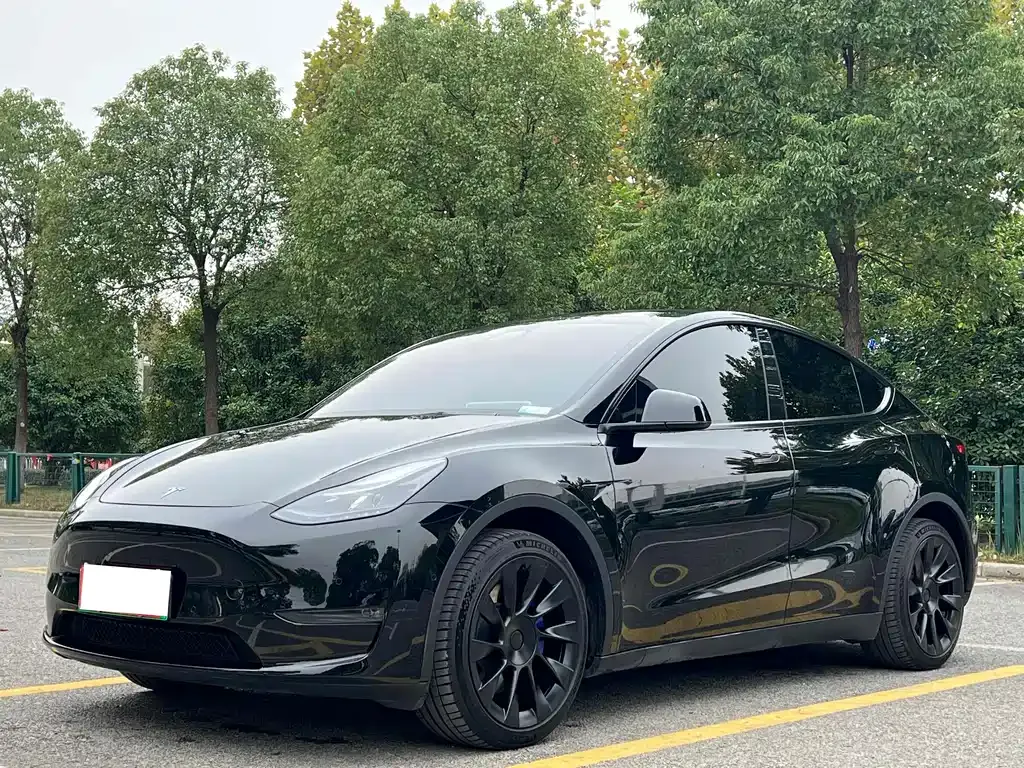 Tesla Model Y — фото 1
