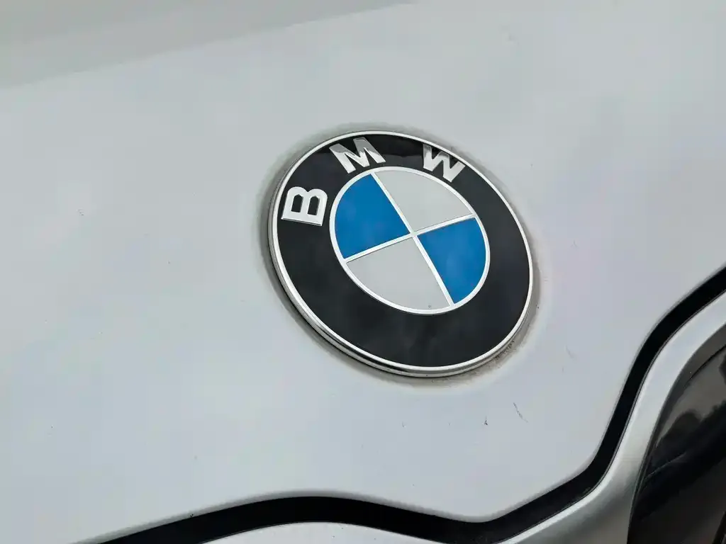 BMW X1 — фото 2