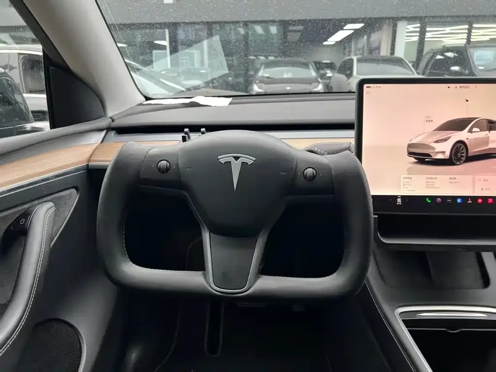 Tesla Model Y — фото 3