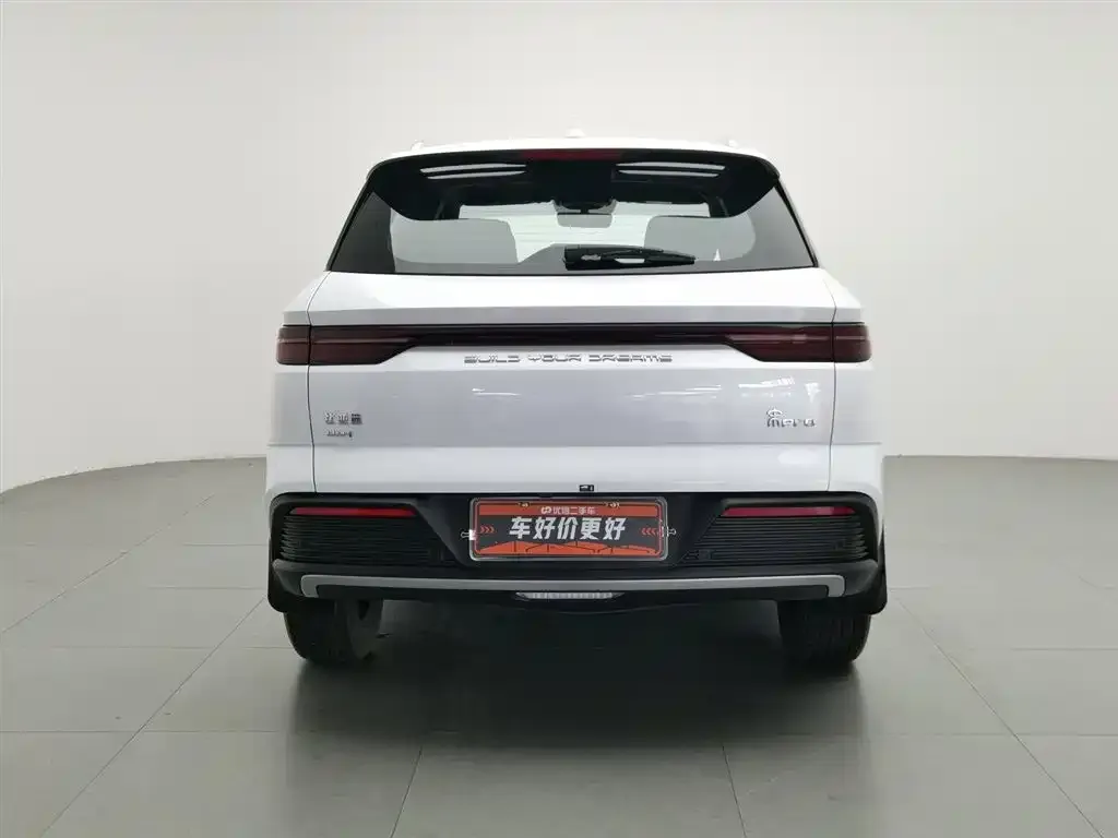 BYD Pro New Energy — фото 9