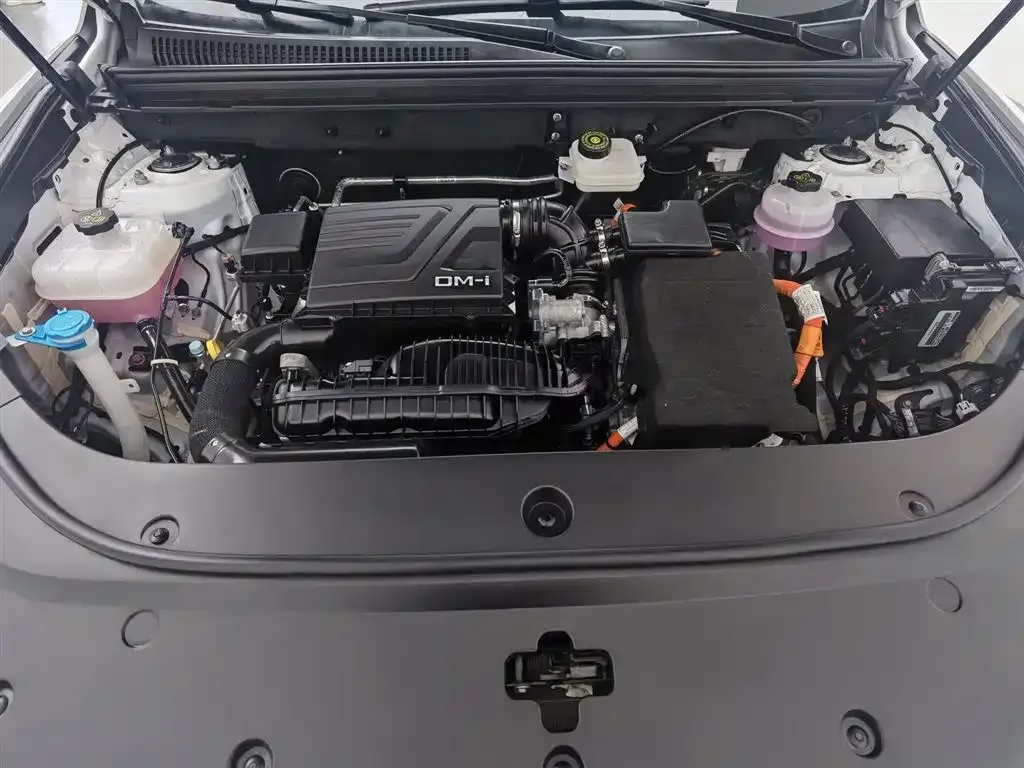BYD Pro New Energy — фото 10