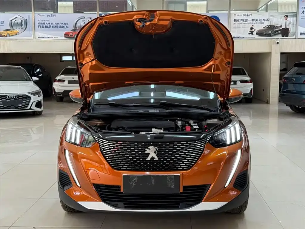 Peugeot 2008 — фото 5