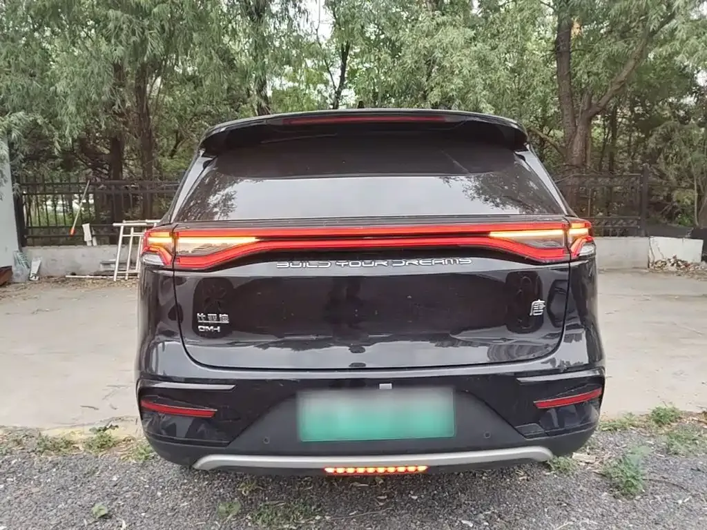 BYD Tang New Energy — фото 10