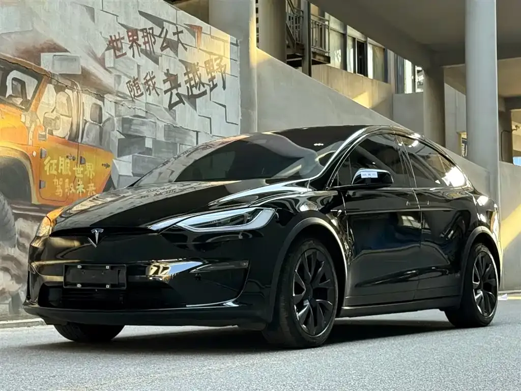 Tesla Model X — фото 1