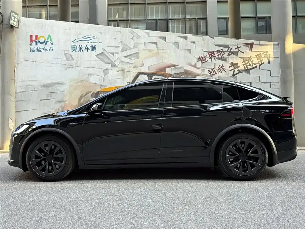 Tesla Model X — фото 10