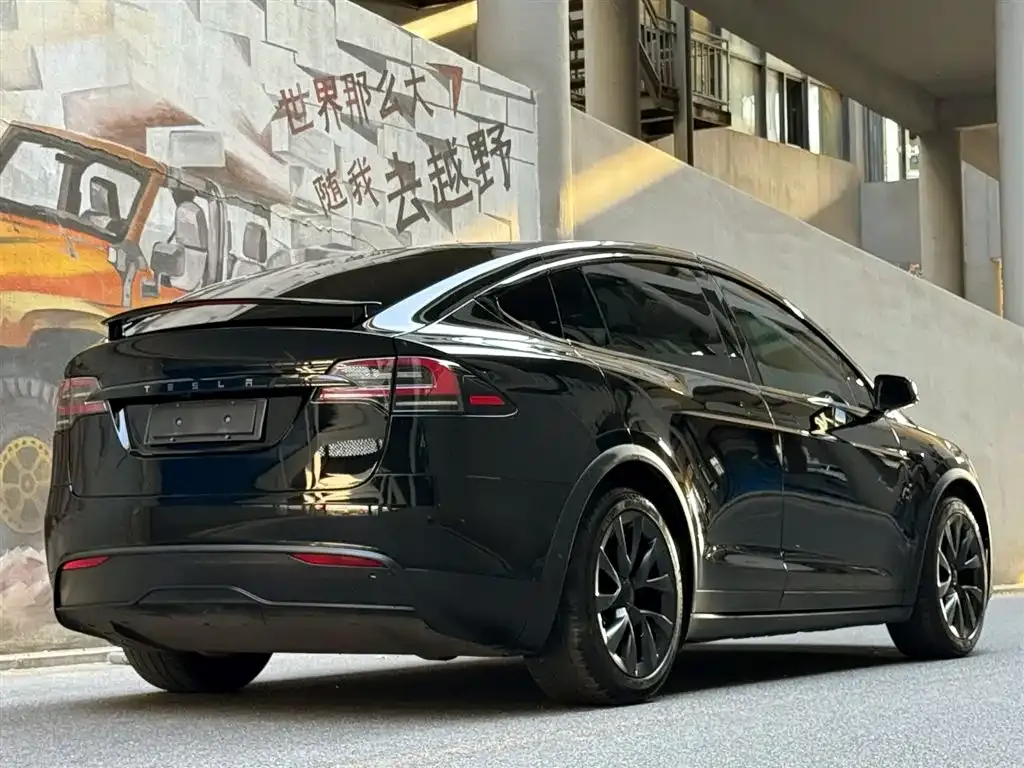 Tesla Model X — фото 8