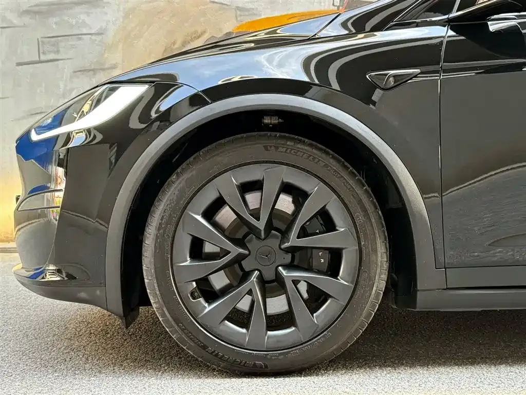 Tesla Model X — фото 9