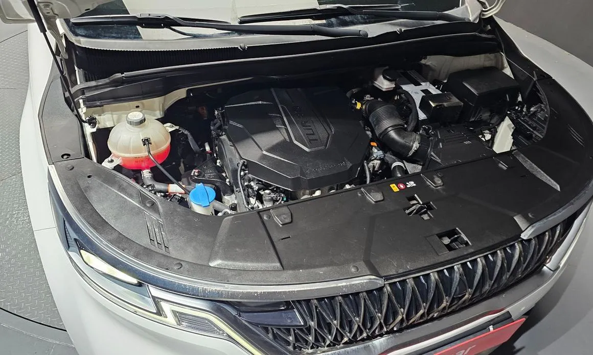 Kia Carnival — фото 10
