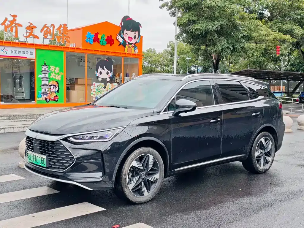 BYD Tang New Energy — фото 1