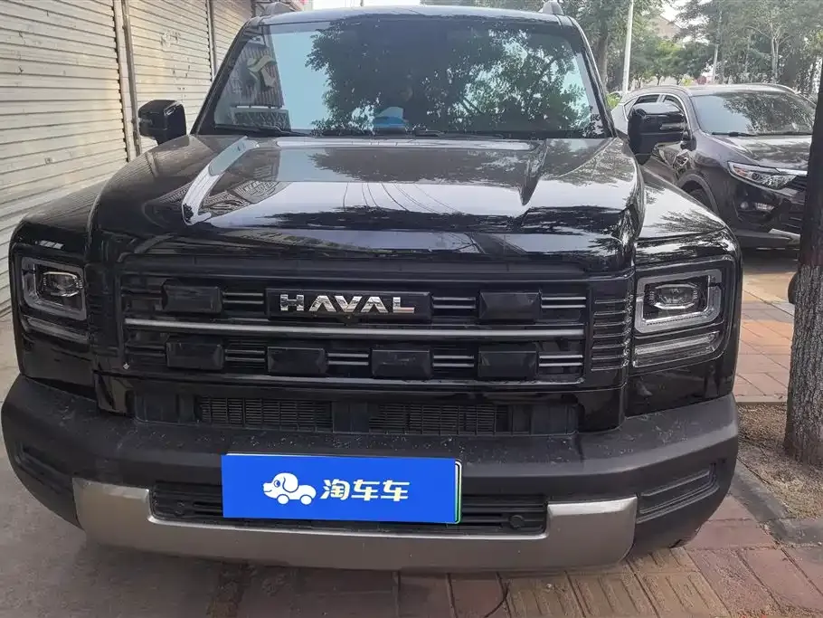 Haval 长城猛龙 PLUS — фото 7