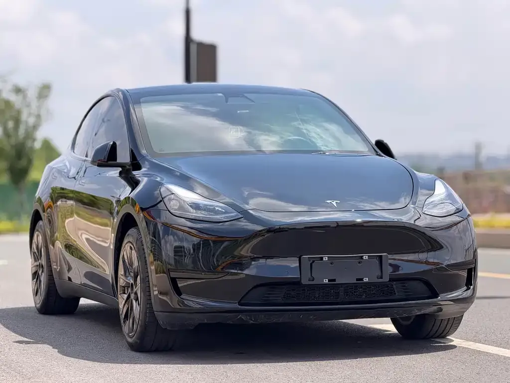 Tesla Model Y — фото 6