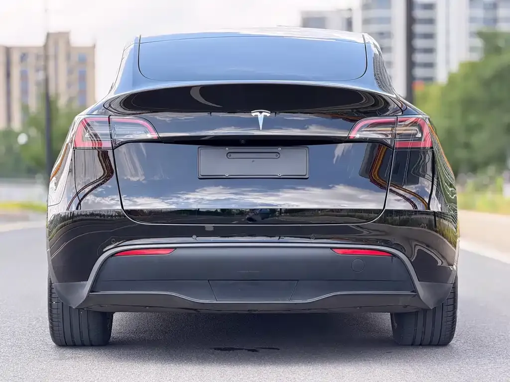 Tesla Model Y — фото 7