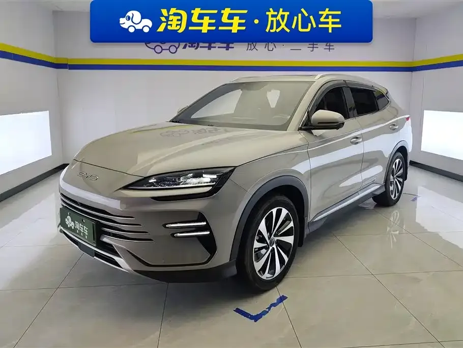 BYD PLUS New Energy — фото 1