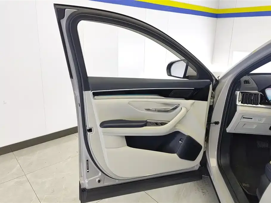 BYD PLUS New Energy — фото 8