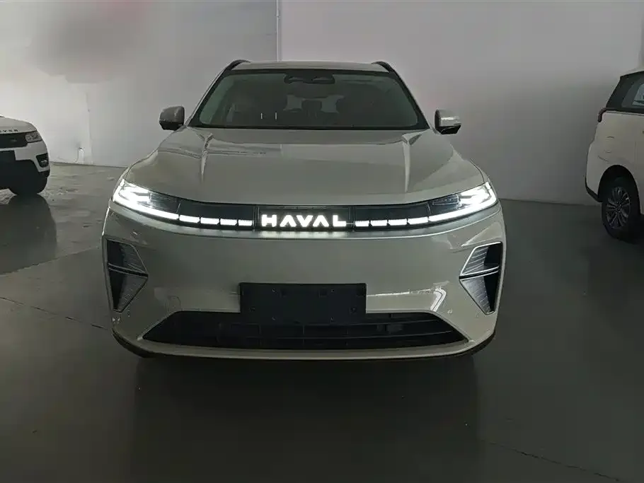 Haval Xiaolong MAX — фото 8