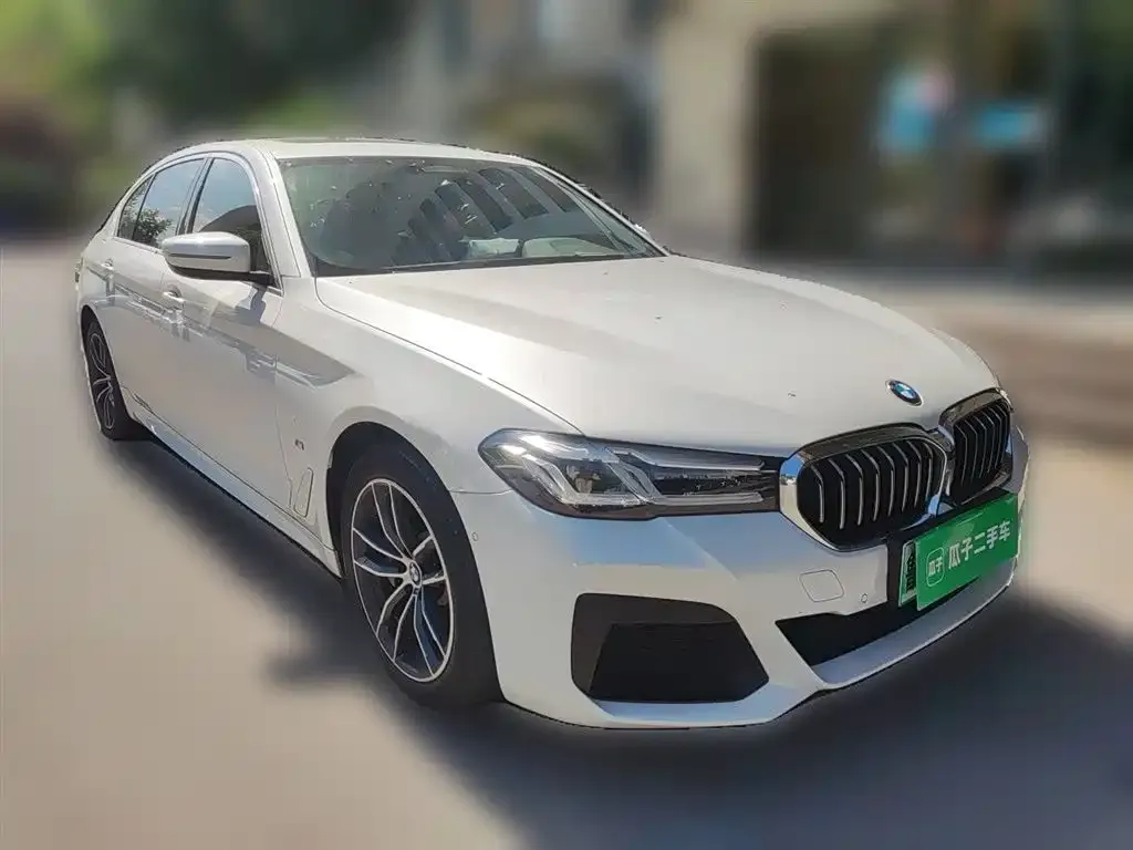 BMW 5 Series New Energy — фото 6
