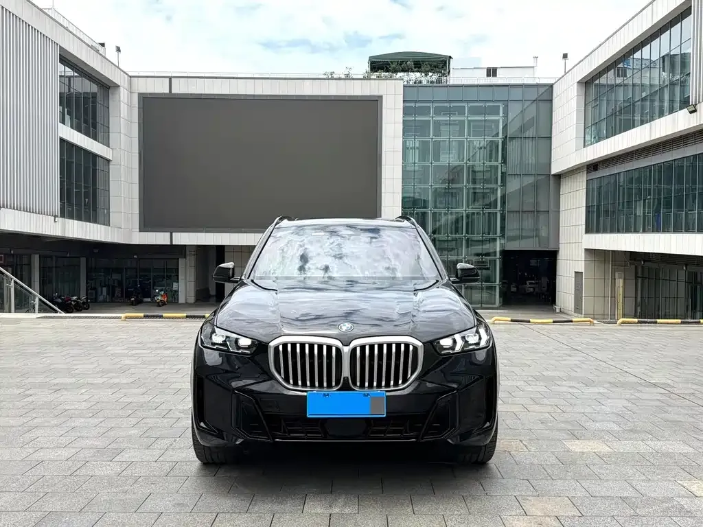 BMW X5 — фото 10
