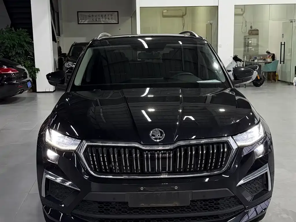 Skoda Kodiaq — фото 5
