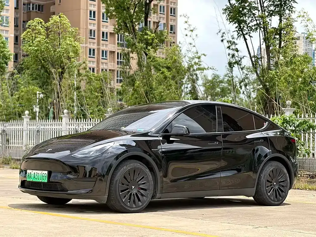 Tesla Model Y — фото 1