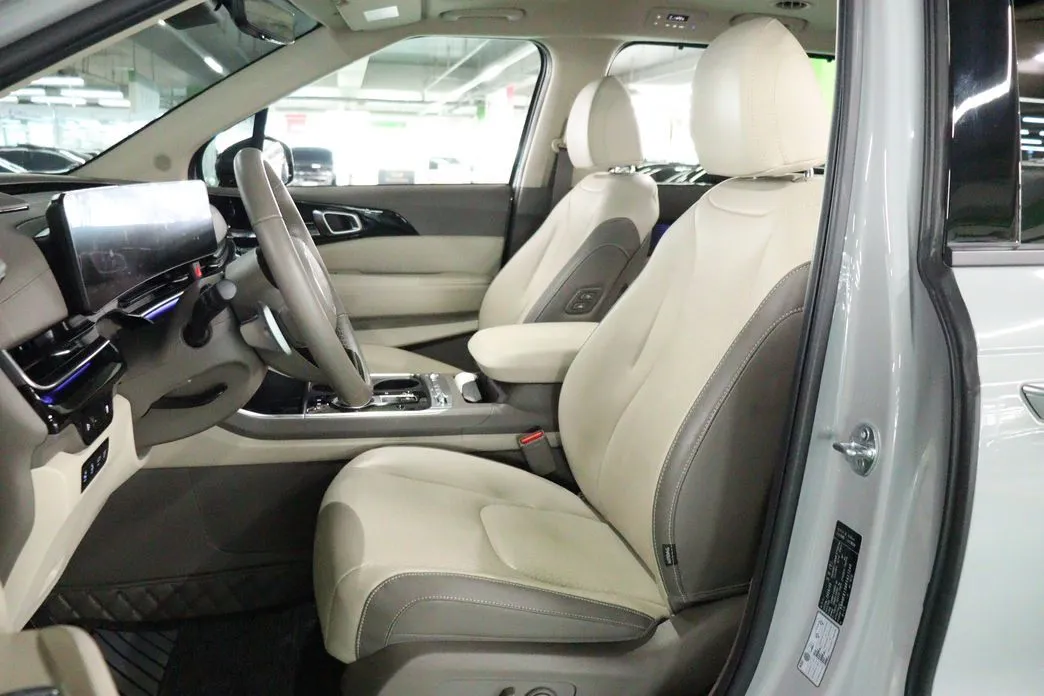Kia Carnival — фото 10