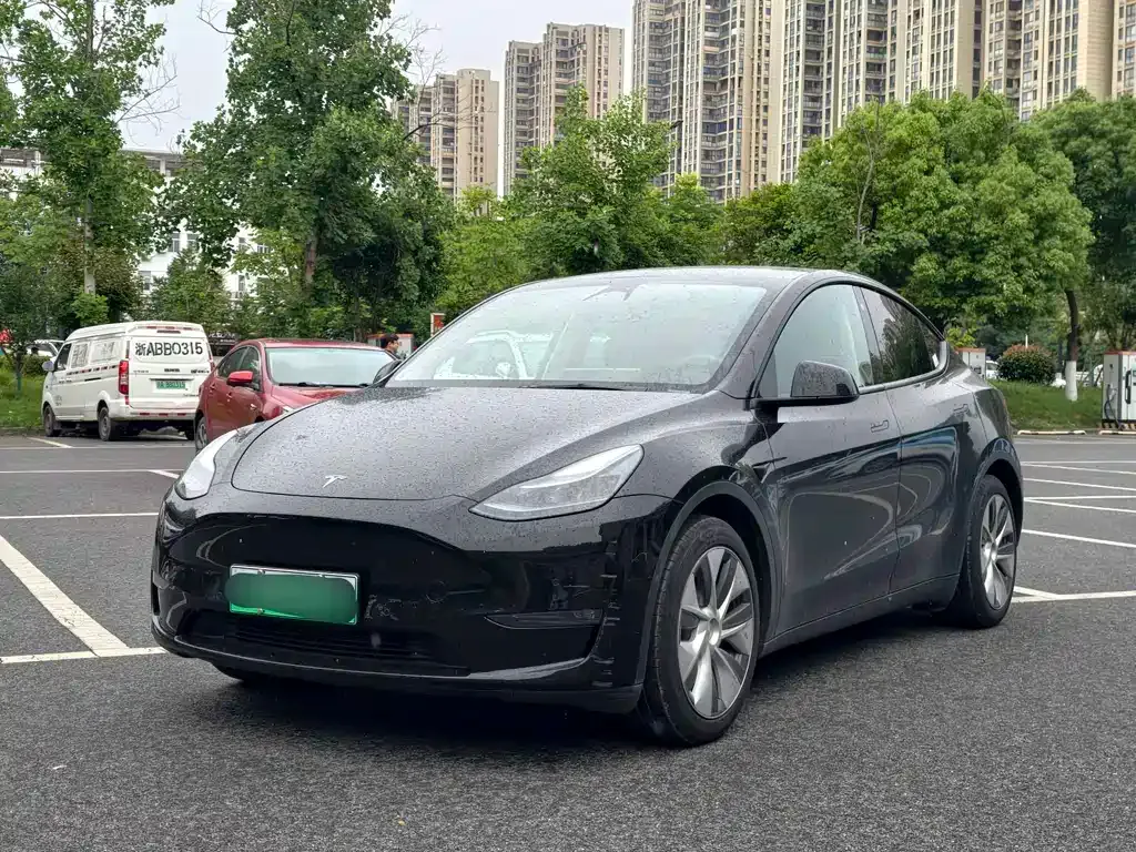 Tesla Model Y — фото 1