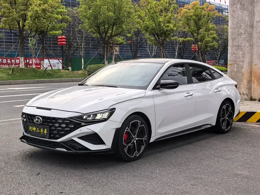 Hyundai Fista — фото 1