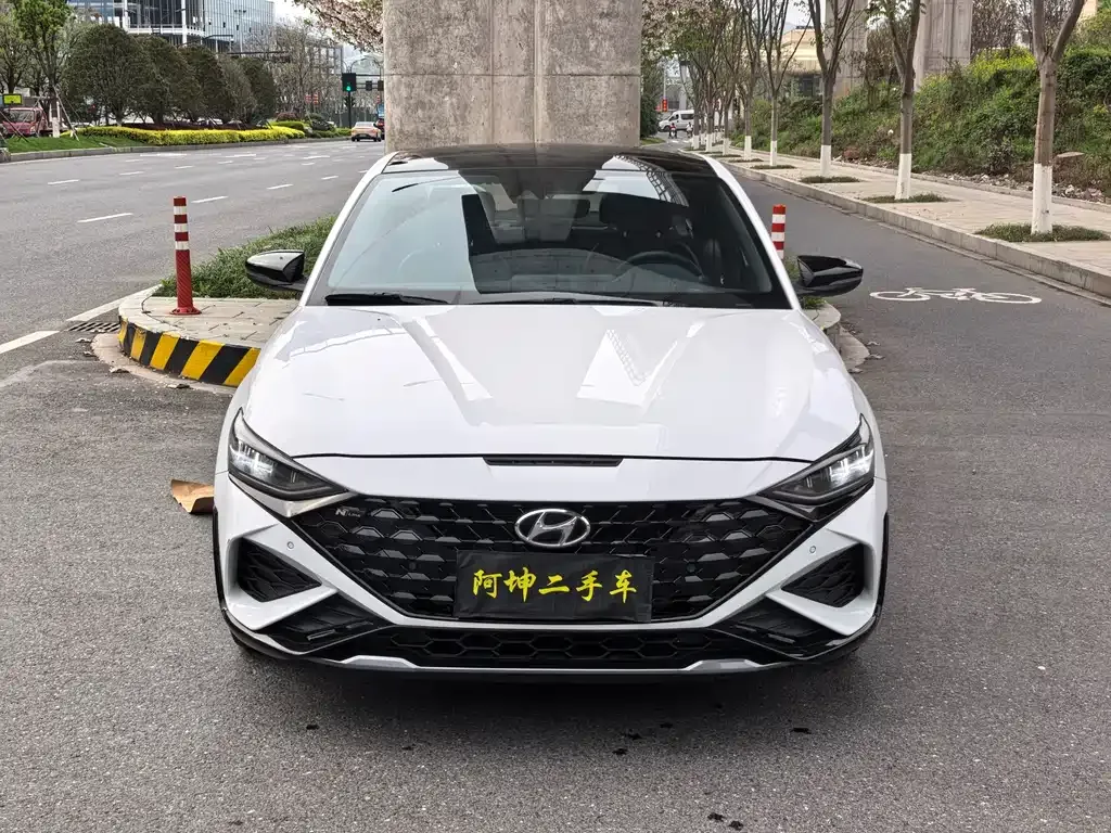 Hyundai Fista — фото 3