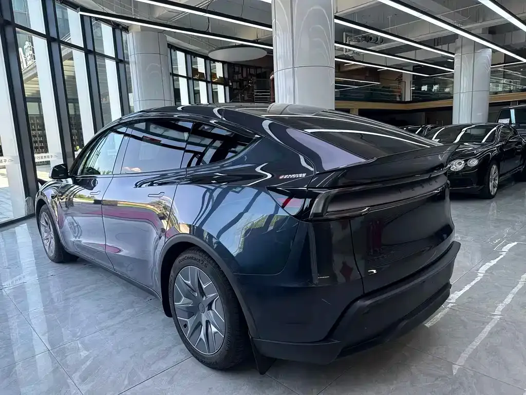 Tesla Model Y L — фото 10