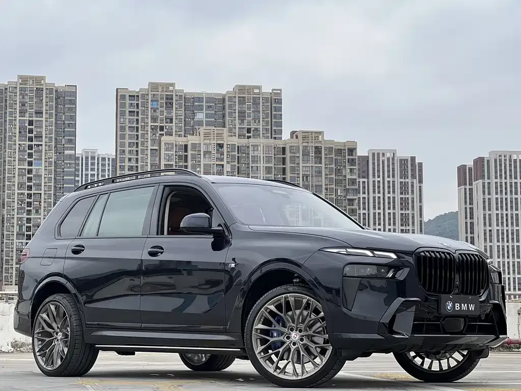 BMW X7 — фото 5