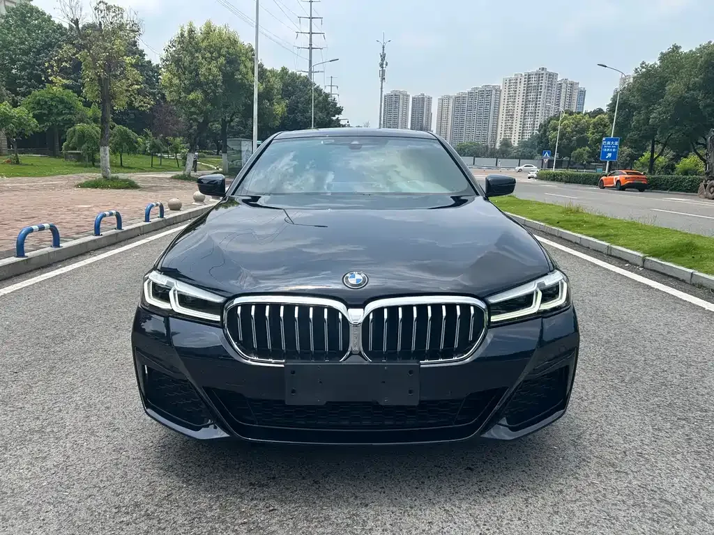 BMW 5 Series (Import) — фото 6