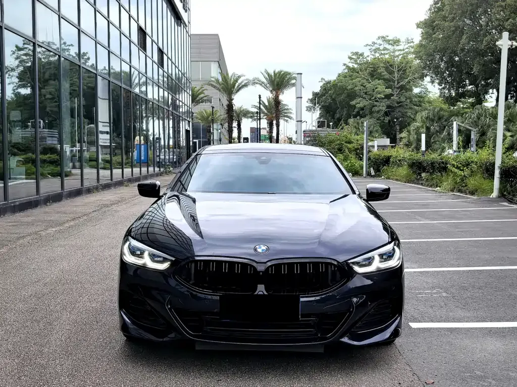 BMW 8 Series — фото 9
