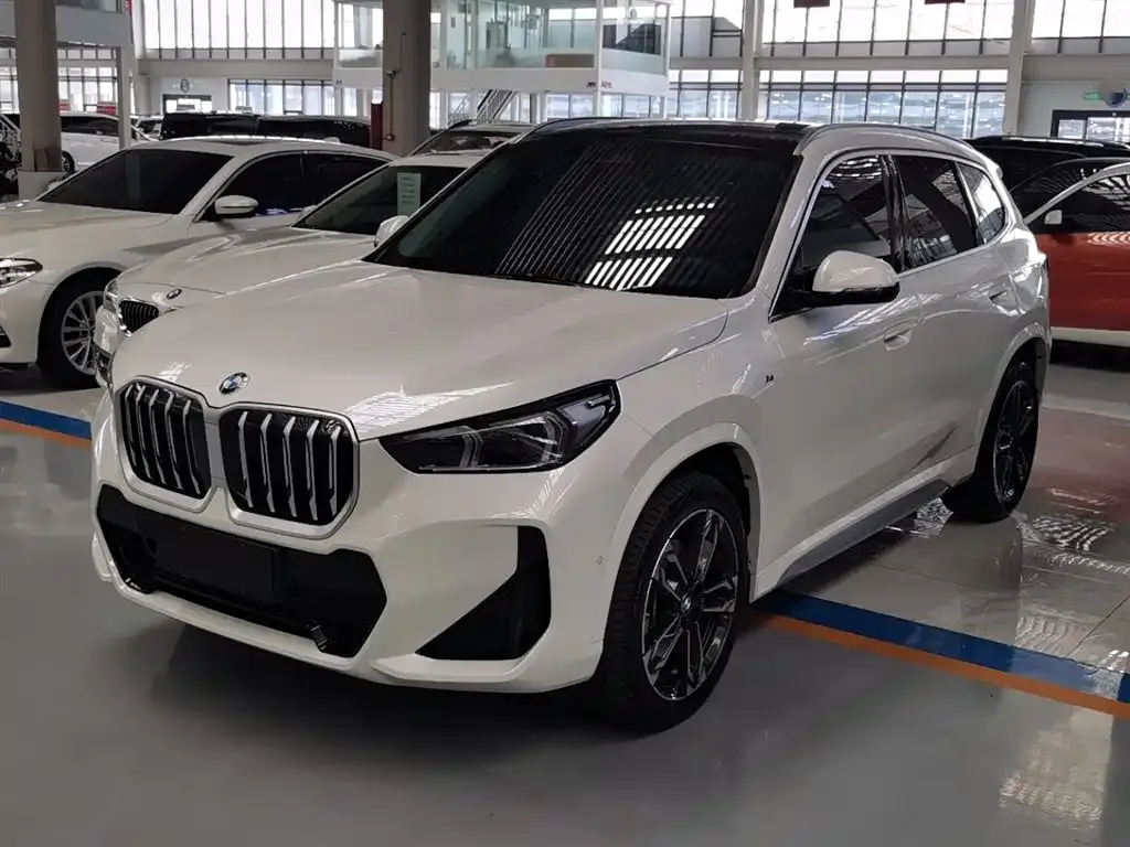 BMW X1 — фото 1