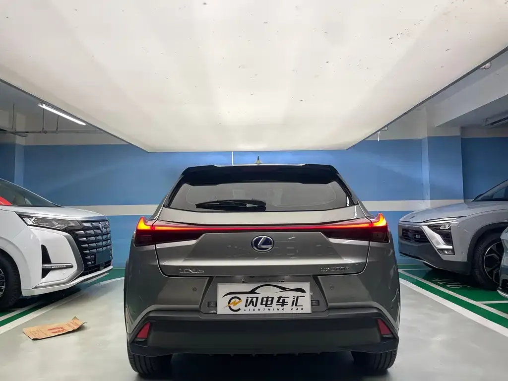 Lexus UX New Energy — фото 5
