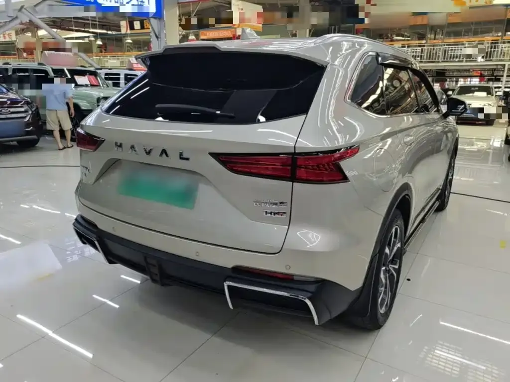 Haval Xiaolong MAX — фото 8