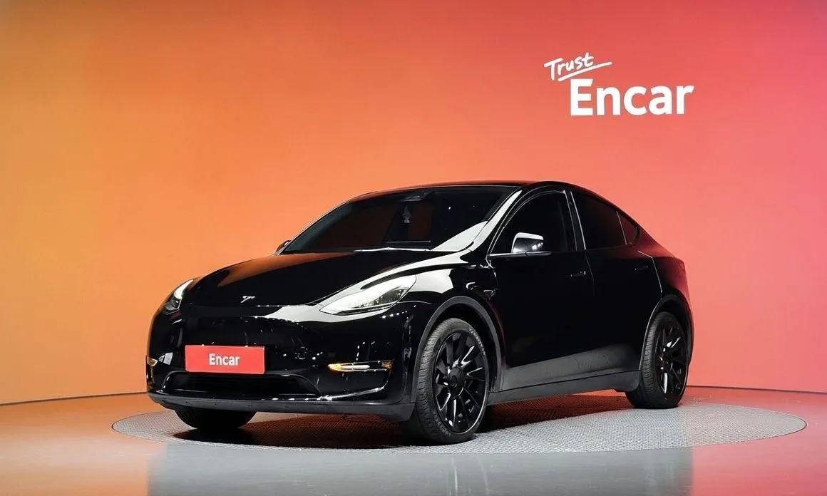 Tesla Model Y — фото 1