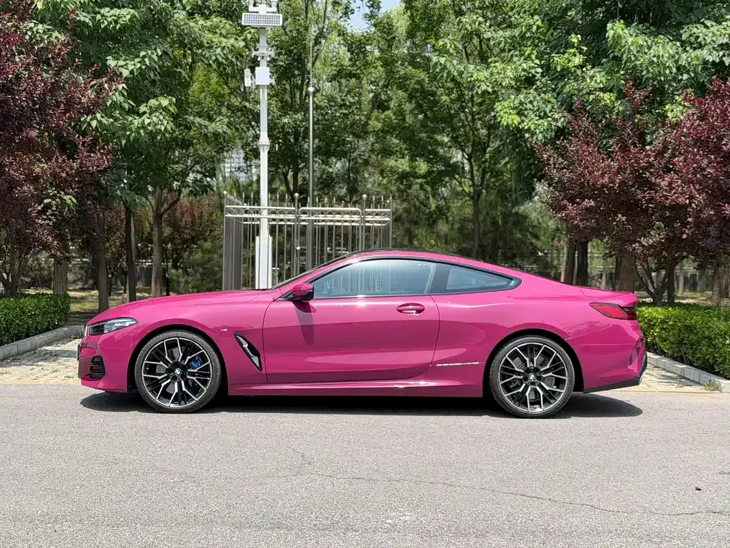 BMW 8 Series — фото 10